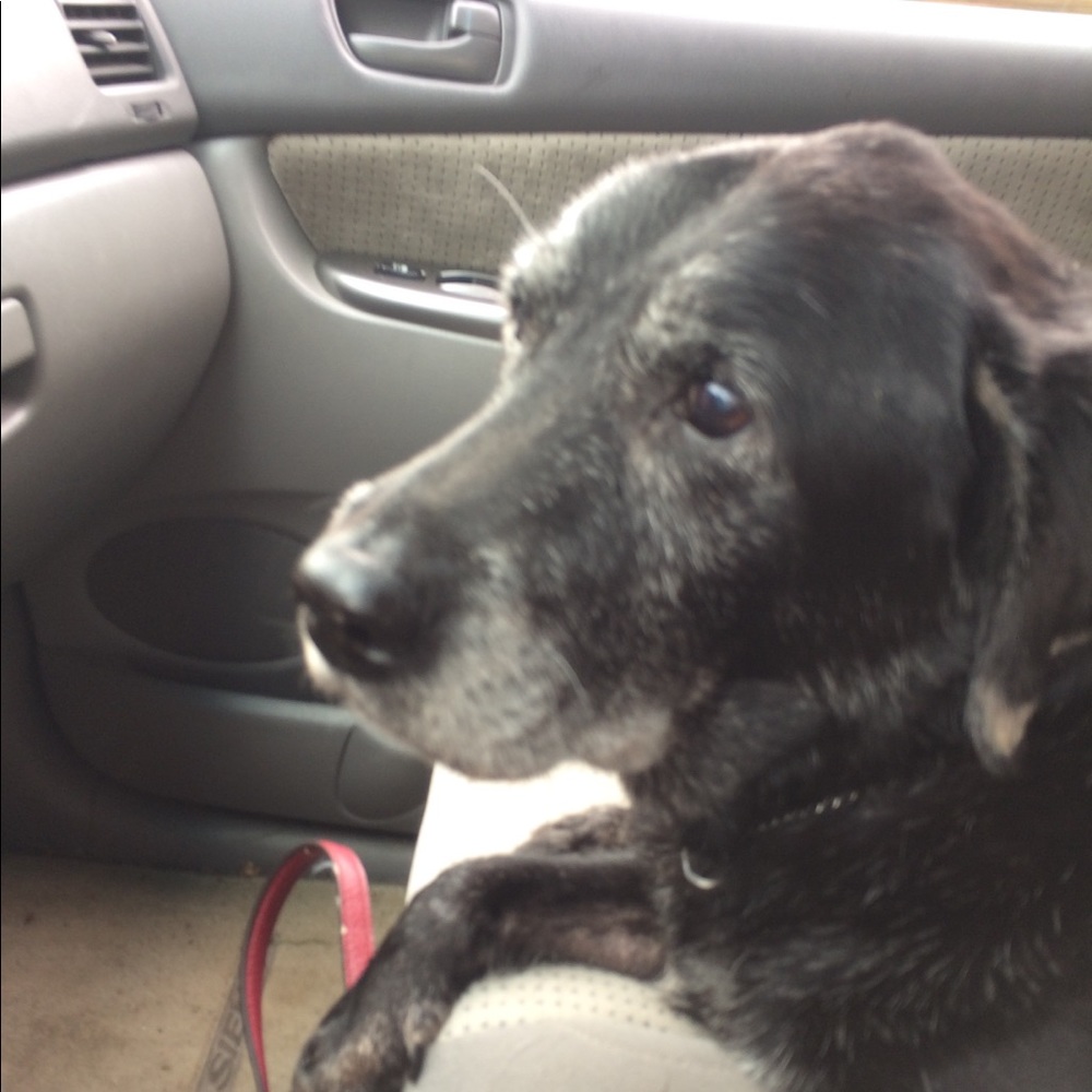 Meet your Posher, Carrie